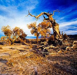 《辐射》改编美剧将于4＆11上线Twitch