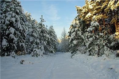 TGA 2022：《战锤40K：星际战士2》新预告 2023年发售